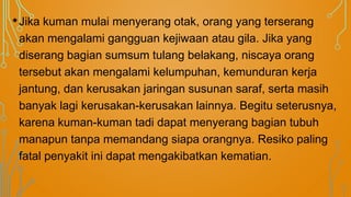 • Jika kuman mulai menyerang otak, orang yang terserang
akan mengalami gangguan kejiwaan atau gila. Jika yang
diserang bagian sumsum tulang belakang, niscaya orang
tersebut akan mengalami kelumpuhan, kemunduran kerja
jantung, dan kerusakan jaringan susunan saraf, serta masih
banyak lagi kerusakan-kerusakan lainnya. Begitu seterusnya,
karena kuman-kuman tadi dapat menyerang bagian tubuh
manapun tanpa memandang siapa orangnya. Resiko paling
fatal penyakit ini dapat mengakibatkan kematian.

 