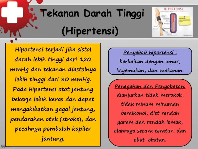 Penyakit sistem sirkulasi anisa