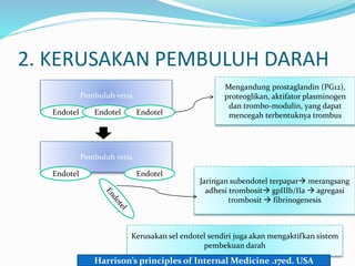 2. KERUSAKAN PEMBULUH DARAH
Pembuluh vena
Endotel Endotel Endotel
Mengandung prostaglandin (PG12),
proteoglikan, aktifator plasminogen
dan trombo-modulin, yang dapat
mencegah terbentuknya trombus
Pembuluh vena
Endotel Endotel
Jaringan subendotel terpapar merangsang
adhesi trombosit gpIIIb/IIa  agregasi
trombosit  fibrinogenesis
Kerusakan sel endotel sendiri juga akan mengaktifkan sistem
pembekuan darah
Harrison’s principles of Internal Medicine .17ed. USA
 
