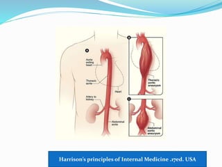 Harrison’s principles of Internal Medicine .17ed. USA
 