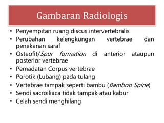 Gambaran Radiologis
• Penyempitan ruang discus intervertebralis
• Perubahan kelengkungan vertebrae dan
penekanan saraf
• Osteofit/Spur formation di anterior ataupun
posterior vertebrae
• Pemadatan Corpus vertebrae
• Porotik (Lubang) pada tulang
• Vertebrae tampak seperti bambu (Bamboo Spine)
• Sendi sacroiliaca tidak tampak atau kabur
• Celah sendi menghilang
 