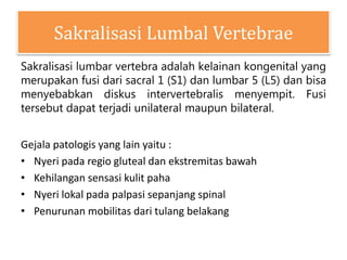 Sakralisasi Lumbal Vertebrae
Sakralisasi lumbar vertebra adalah kelainan kongenital yang
merupakan fusi dari sacral 1 (S1) dan lumbar 5 (L5) dan bisa
menyebabkan diskus intervertebralis menyempit. Fusi
tersebut dapat terjadi unilateral maupun bilateral.
Gejala patologis yang lain yaitu :
• Nyeri pada regio gluteal dan ekstremitas bawah
• Kehilangan sensasi kulit paha
• Nyeri lokal pada palpasi sepanjang spinal
• Penurunan mobilitas dari tulang belakang
 