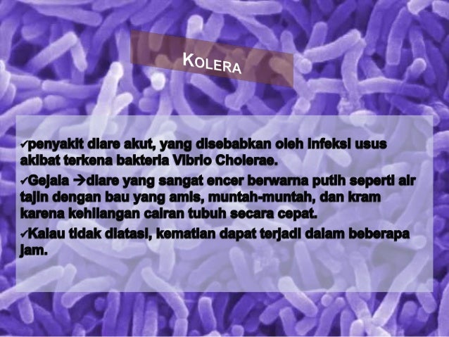  Penyakit Yang Disebabkan Oleh Bakteri Yang Merugikan