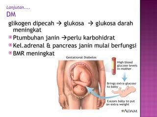 Lanjutan.... DM glikogen dipecah    glukosa    glukosa darah meningkat Ptumbuhan janin   perlu karbohidrat Kel.adrenal & pancreas j a n i n mulai b er fungsi BMR meningkat 