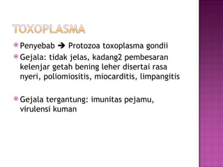 Penyebab     Protozoa toxoplasma gondii Gejala: tidak jelas, kadang2 pembesaran  kelenjar getah bening  leher disertai rasa nyeri, poliomiositis, miocarditis, limpangitis Gejala tergantung: imunitas pejamu, virulensi kuman 