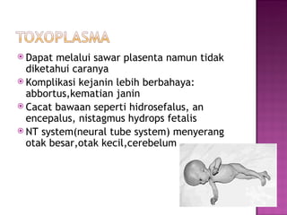 Dapat melalui sawar plasenta namun tidak diketahui caranya  Komplikasi kejanin lebih berbahaya: abbortus,kematian janin Cacat bawaan seperti hidrosefalus, an encepalus, nistagmus hydrops fetalis NT system(neural tube system) menyerang otak besar,otak kecil,cerebelum 