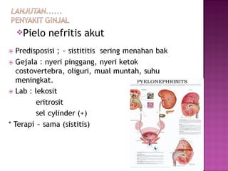 Pielo nefritis akut 