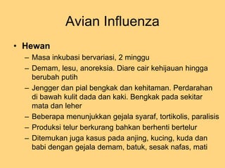 Avian Influenza
• Hewan
– Masa inkubasi bervariasi, 2 minggu
– Demam, lesu, anoreksia. Diare cair kehijauan hingga
berubah...