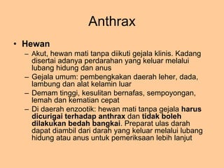 Anthrax
• Hewan
– Akut, hewan mati tanpa diikuti gejala klinis. Kadang
disertai adanya perdarahan yang keluar melalui
luba...