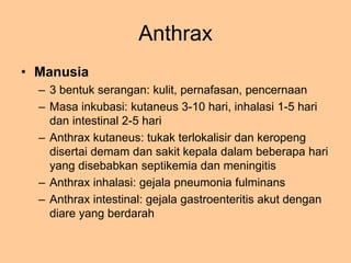Anthrax
• Manusia
– 3 bentuk serangan: kulit, pernafasan, pencernaan
– Masa inkubasi: kutaneus 3-10 hari, inhalasi 1-5 har...