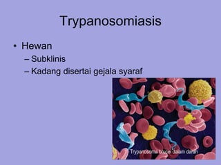 Trypanosomiasis
• Terapi pada manusia
– Suramin (T. brucei), Pentamidine (T. gambiense)
– Malasorpol dapat dipertimbangkan...