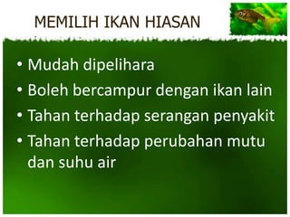 MEMILIH IKAN HIASAN

• Mudah dipelihara
• Boleh bercampur dengan ikan lain
• Tahan terhadap serangan penyakit
• Tahan terh...