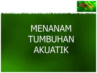 MENANAM
TUMBUHAN
 AKUATIK
 