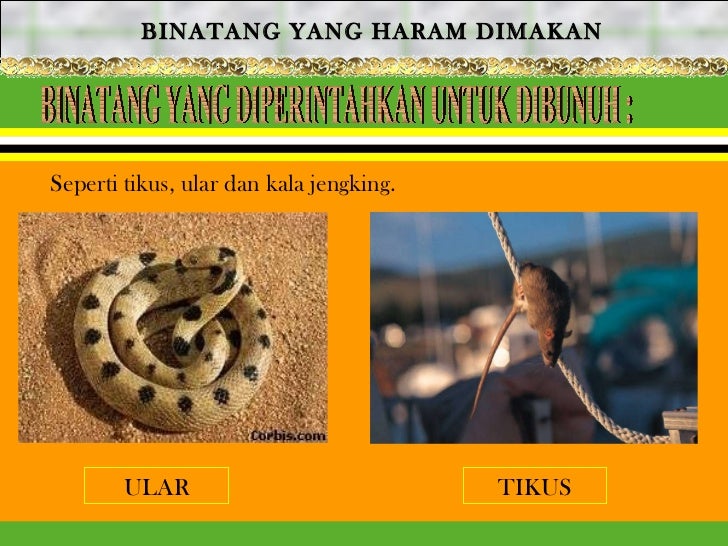 Penyembelihan Menurut Hukum Syarak