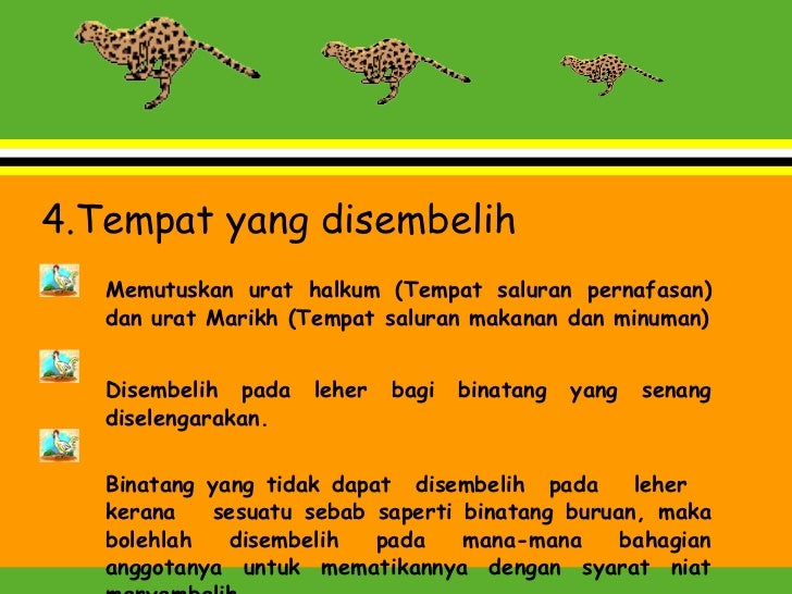 Penyembelihan Menurut Hukum Syarak