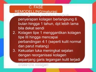 C. FASE
REMODELLING/maturasi
1. Peningkatan produksi maupun
penyerapan kolagen berlangsung 6
bulan hingga 1 tahun, dpt lebih lama
bila dekat sendi
2. Kolagen tipe 1 menggantikan kolagen
tipe III hingga mencapai
perbandingan 4:1 (seperti kulit normal
dan parut matang)
3. Kekuatan luka meningkat sejalan
dengan reorganisasi kolagen
sepanjang garis tegangan kulit terjadi
cross-link kolagen
 