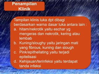 Penampilan
Klinik
Tampilan klinis luka dpt dibagi
berdasarkan warna dasar luka antara lain :
a. hitam/nekrotik yaitu eschar yg
mengeras dan nekrotik, kering atau
lembab
b. Kuning/sloughy yaitu jaringan mati
yang fibrous, kuning dan slough
c. Pink/epithellating yaitu terjadi
epitelisasi
d. Kehijauan/terinfeksi yaitu terdapat
tanda infeksi
 