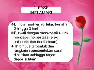 1. FASE
INFLAMASI
Dimulai saat terjadi luka, bertahan
2 hingga 3 hari
Diawali dengan vasokontriksi unk
mencapai homestatis (efek
epineprin dan tromboksan)
Thrombus terbentuk dan
rangkaian pembentukan darah
diaktifkan sehingga terjadi
deposisi fibrin
 