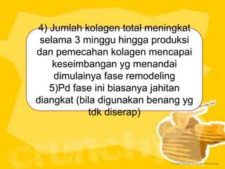4) Jumlah kolagen total meningkat
selama 3 minggu hingga produksi
dan pemecahan kolagen mencapai
keseimbangan yg menandai
dimulainya fase remodeling
5)Pd fase ini biasanya jahitan
diangkat (bila digunakan benang yg
tdk diserap)
 