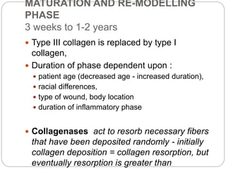 MATURATION AND RE-MODELLING
PHASE
3 weeks to 1-2 years
 Type III collagen is replaced by type I
collagen,
 Duration of phase dependent upon :
 patient age (decreased age - increased duration),
 racial differences,
 type of wound, body location
 duration of inflammatory phase
 Collagenases act to resorb necessary fibers
that have been deposited randomly - initially
collagen deposition = collagen resorption, but
eventually resorption is greater than
 