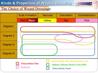 Scab Formation Necrosis Granulation Epithelialization
Red → Black Yellow Red Pink
Degree I
Degree II
Degree III
Degree IV
Polyurethane Film
Hydrogel
Polyurethane Foam
Hydrocolloid, Thin Polyurethane Foam
Alginate, Polymer Bead, Cavity Filler
The Choice of Wound Dressings
Kinds & Properties of Wound Dressing
 