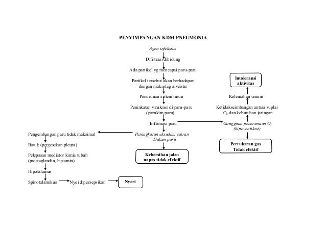  Penyimpangan  kdm  pneumonia