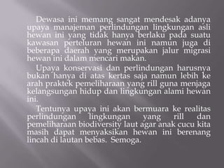 Dewasa ini memang sangat mendesak adanya
upaya manajeman perlindungan lingkungan asli
hewan ini yang tidak hanya berlaku pada suatu
kawasan perteluran hewan ini namun juga di
beberapa daerah yang merupakan jalur migrasi
hewan ini dalam mencari makan.
   Upaya konservasi dan perlindungan harusnya
bukan hanya di atas kertas saja namun lebih ke
arah praktek pemeliharaan yang rill guna menjaga
kelangsungan hidup dan lingkungan alami hewan
ini.
   Tentunya upaya ini akan bermuara ke realitas
perlindungan      lingkungan    yang    rill  dan
pemeliharaan biodiversity laut agar anak cucu kita
masih dapat menyaksikan hewan ini berenang
lincah di lautan bebas. Semoga.
 