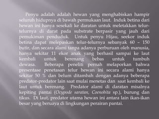 Penyu adalah adalah hewan yang menghabiskan hampir
seluruh hidupnya di bawah permukaan laut. Induk betina dari
hewan ini hanya sesekali ke daratan untuk meletakkan telur-
telurnya di darat pada substrate berpasir yang jauh dari
pemukiman penduduk. Untuk penyu Hijau, seekor induk
betina dapat melepaskan telur-telurnya sebanyak 60 – 150
butir, dan secara alami tanpa adanya perburuan oleh manusia,
hanya sekitar 11 ekor anak yang berhasil sampai ke laut
kembali     untuk     berenang     bebas    untuk      tumbuh
dewasa.      Beberapa peneliti pernah melaporkan bahwa
presentase penetasan telur hewan ini secara alami hanya
sekitar 50 % dan belum ditambah dengan adanya beberapa
predator-predator lain saat mulai menetas dan saat kembali ke
laut untuk berenang. Predator alami di daratan misalnya
kepiting pantai (Ocypode saratan, Coenobita sp.), burung dan
tikus. Di laut, predator utama hewan ini antara lain ikan-ikan
besar yang beruaya di lingkungan perairan pantai.
 