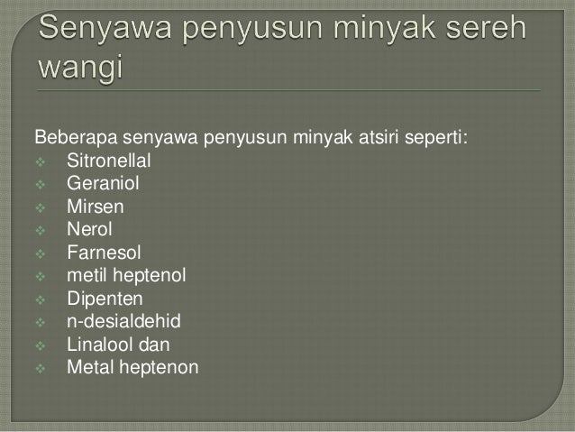 penyulingan minyak serai wangi penyulingan minyak serai wangi