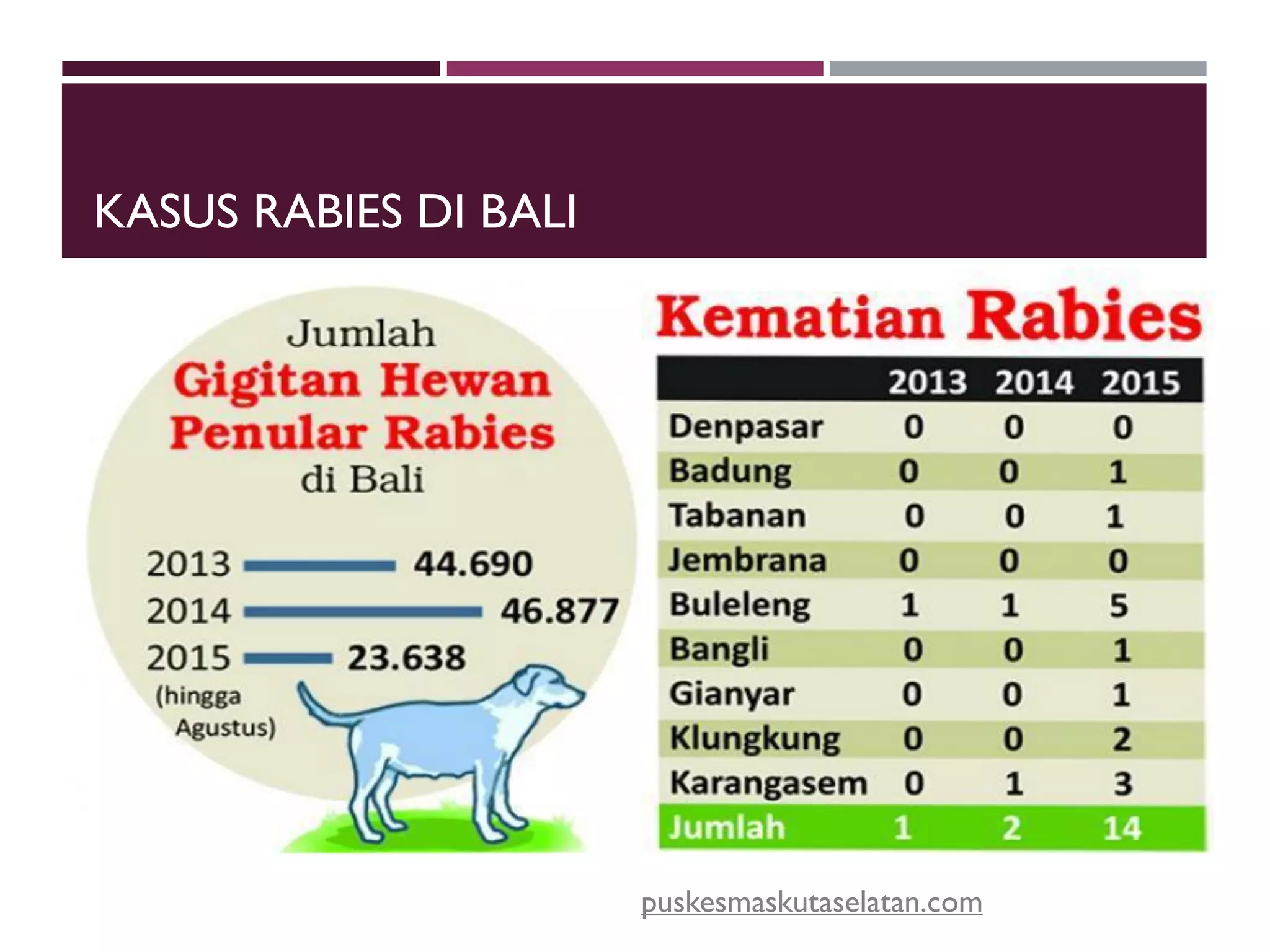 Tingkat Rabies Penyuluhan-Penyakit-Rabies.pdf