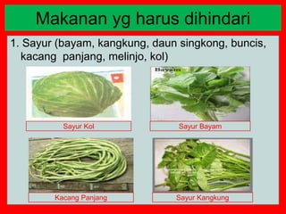1. Sayur (bayam, kangkung, daun singkong, buncis,
kacang panjang, melinjo, kol)
Makanan yg harus dihindari
Sayur Kol Sayur Bayam
Sayur Kangkung
Kacang Panjang
 