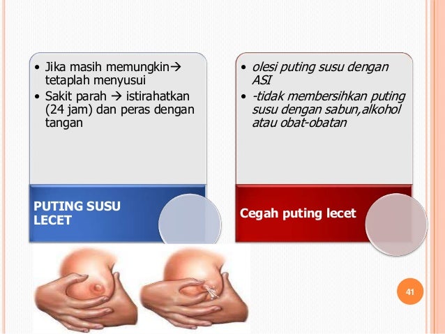 Cara Menghisap Payudara Menyusui Jangkrik Bos Cara Menghisap Payudara Menyusui Jangkrik Bos