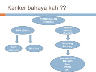 Kanker bahaya kah ??
PEMBESARAN
PROSTAT
BPH (Jinak)
Kanker
prostat
(GANAS)
Kandung
kencing
metastasis
TULANG
Atau
PARU
HATI
Tidak
bisa BAK
Bisa BAK
 