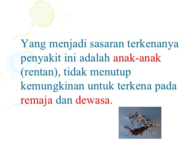 Penyuluhan dbd Penyuluhan dbd