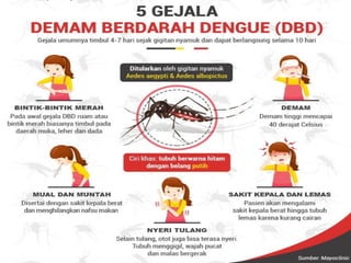 Understanding Dengue Fever (DBD): Causes and Prevention Methods | PPT