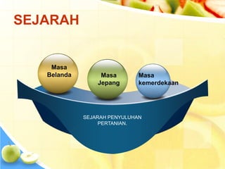 SEJARAH 
SEJARAH PENYULUHAN 
PERTANIAN. 
Masa 
kemerdekaan 
Masa 
Belanda Masa 
Jepang 
 