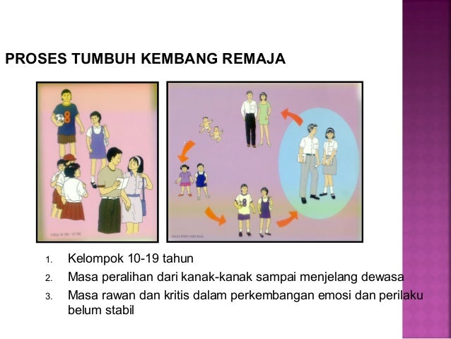 Image Result For Kesehatan Rambut Bayi Image Result For Kesehatan Rambut Bayi