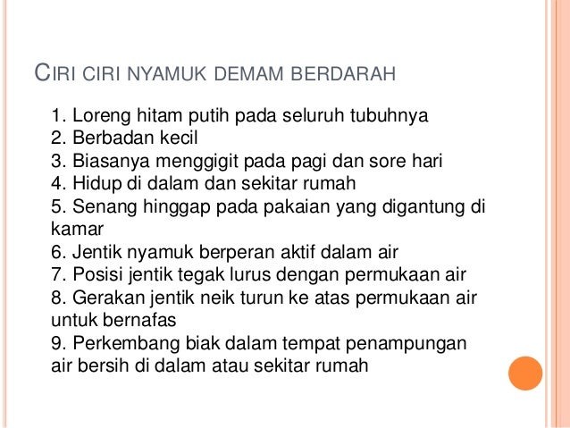 Penyuluhan tentang bagaimana pencegah dbd