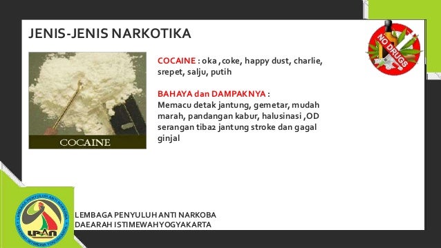 Penyuluhan Anti Narkoba LPAN (DIY)