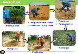 Distribusi Bibit  Pembuatan Lubang Tanam
 Penanaman
Penyiangan
Pendangiran
Pemupukan
Revegetasi
 Pengaturan arah larikan
 Pemasangan ajir
 