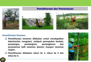 Pemeliharaan dan Pemantauan
Pemeliharaan Tanaman
 Pemeliharaan tanaman dilakukan untuk mendapatkan
keberhasilan revegetasi, meliputi pemupukan berkala,
penyiangan, pendangiran, pemangkasan dan
penyulaman baik tanaman pioneer maupun tanaman
sisipan.
 Pemeliharaan dilakukan tahun ke 1, tahun ke 2 dan
tahun ke 3.
 