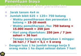 Penentuan biaya
pemeliharaan dan perawatan
 Jarak tanam 4x4 m
 Jumlah bibit 625 + 125= 750 batang
 Waktu pemeliharaan dan perawatan 1
batang = 15-20 menit
 Waktu pemeliharaan /ha: 750 batang =
15.000 menit = 250 jam
 Hari yang diperlukan: 250 jam / 7 jam
sehari = 36 hari
 Tenaga kerja yang diperlukan 1 minggu:
36 hari / 7 hari = 5,1 = 5 orang
 Dengan luas 1 ha jumlah tenaga kerja 5
orang maka 1 ha dapat selesai dalam 7 hari
 
