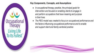 Applying the Person Environment Occupation Model to Practice