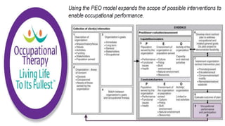 Applying the Person Environment Occupation Model to Practice