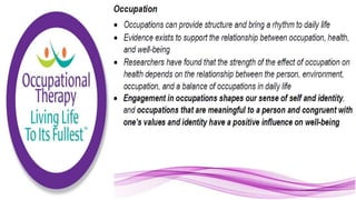 Applying the Person Environment Occupation Model to Practice