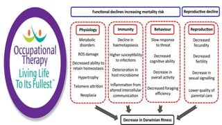 Applying the Person Environment Occupation Model to Practice