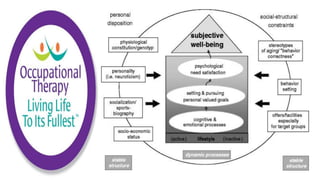 Applying the Person Environment Occupation Model to Practice