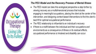 Applying the Person Environment Occupation Model to Practice
