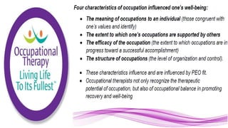 Applying the Person Environment Occupation Model to Practice