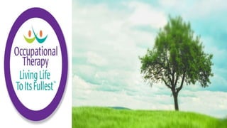 Applying the Person Environment Occupation Model to Practice